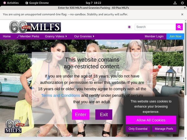 60 Plus MILFs Cams