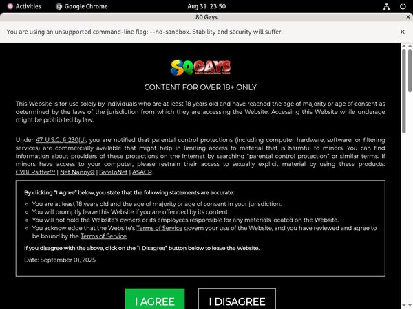 80 Gays Valid Password