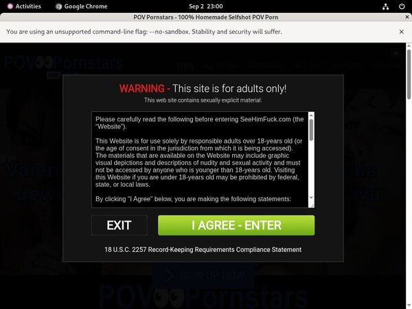 Accounts For Povpornstars.com