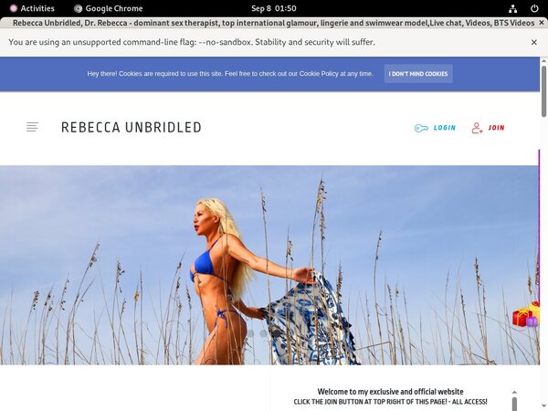 Accounts To Rebecca  Unbridled