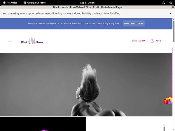 B L A C K - H O R N I S New Accounts