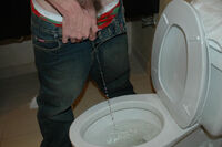 Boys Pissing Free Passes s2