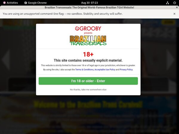 Brazilian Transsexuals Discount Urls