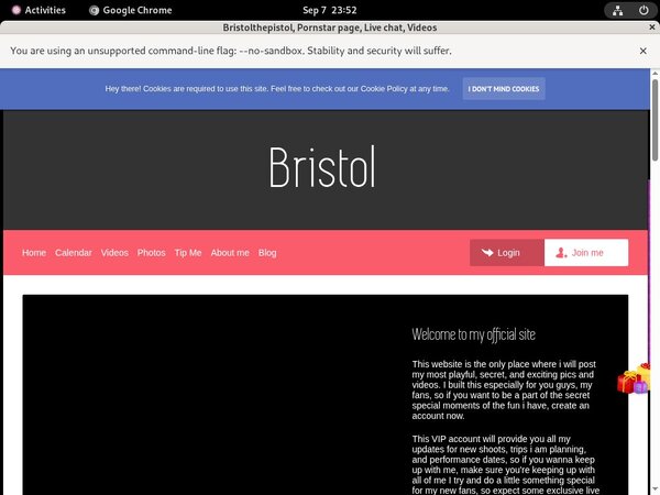 Bristolthepistol81.modelcentro.com Ccbillpay