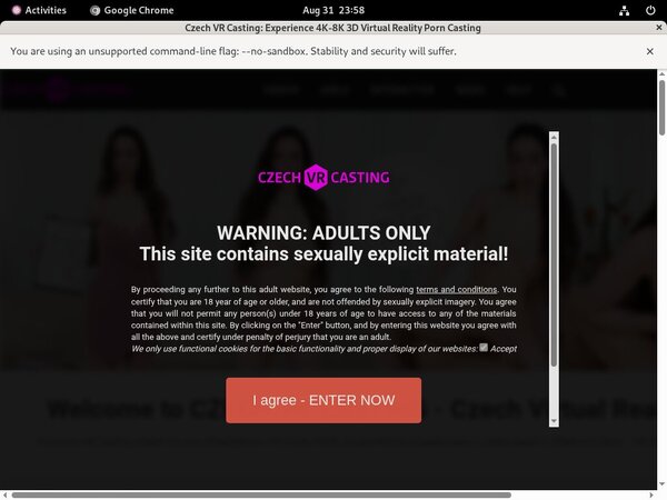 Czech VR Casting Daily Pass