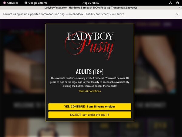 Free Users For Ladyboy Pussy