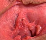 Gape My Pussy Discount Checkout