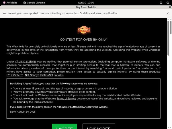 Get Inside Gayasiantwinkz.com