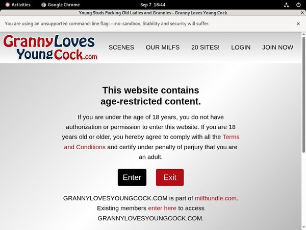 Grannylovesyoungcock Hot Sex