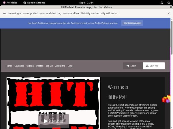 Hitthemat Accounts Passwords