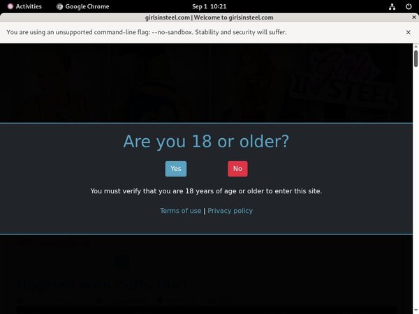 How To Get On Girlsinsteel For Free