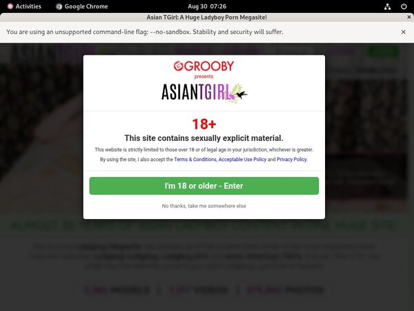 Ladyboyladyboy Profile