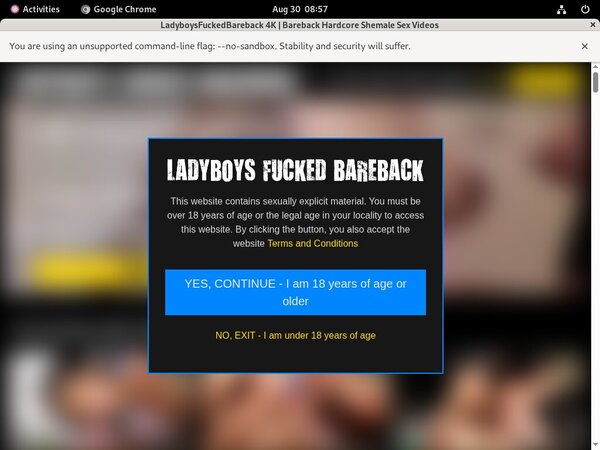 Ladyboysfuckedbareback Coupon Discount