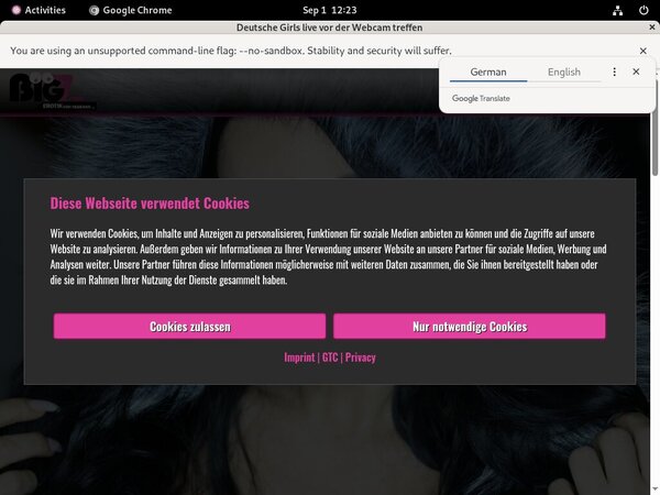 Lanagiselle.tv Passwort