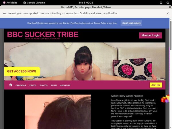 Linxer2013 Nude Videos