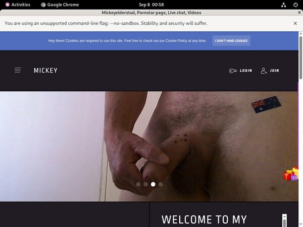 Mickeyelderstud.modelcentro.comaccountsfree