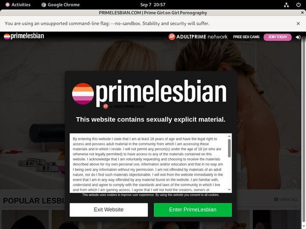 New Primelesbian.com Passwords