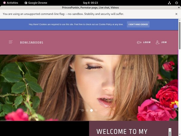 PrincexPunkin Segpayeu Com