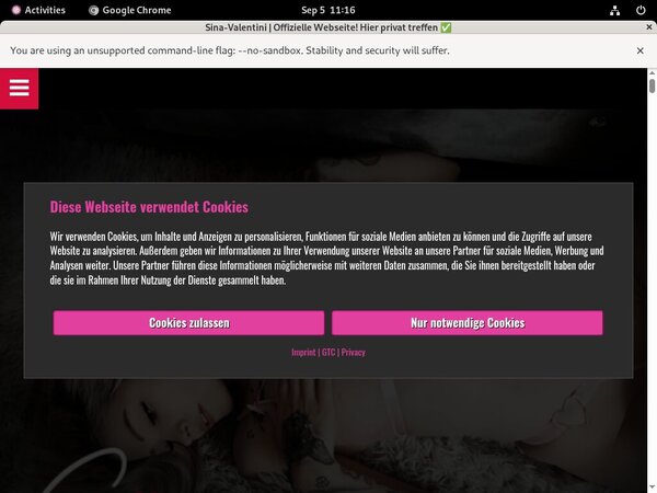 SinaValentini Free Trial Link