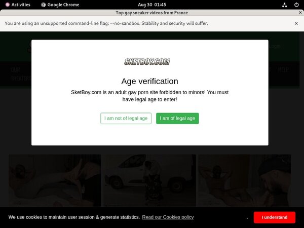 Sketboy.com Free Premium Passwords