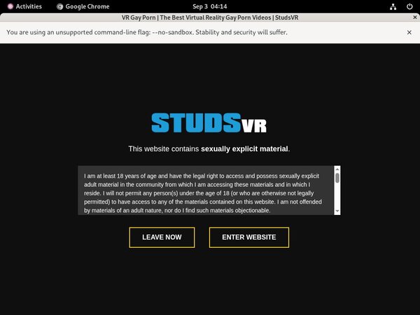 Studs VR Password Info
