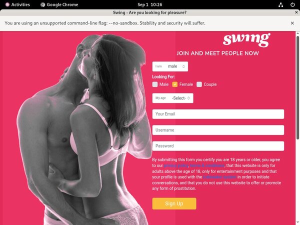 Swing.net Hacked Accounts