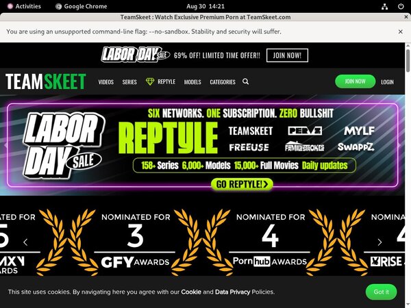 Teamskeet.com Discount Logins