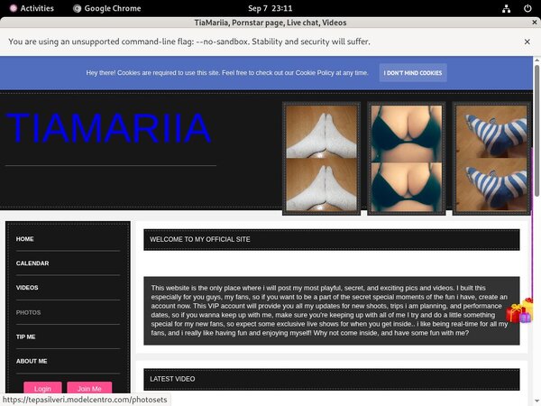 Tepasilveri.modelcentro.com Xxx Password
