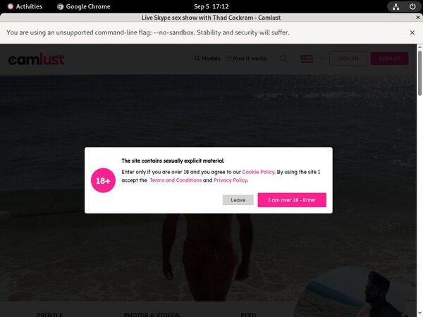 ThadCockram Subscriptions