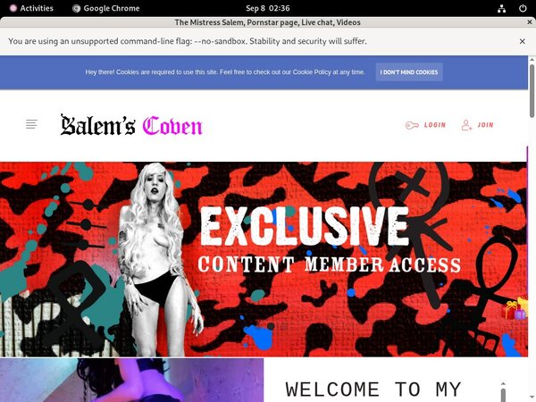The Mistress Salem Stars