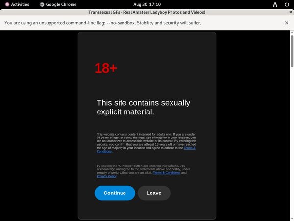 Transsexualgfs.com Pornstars