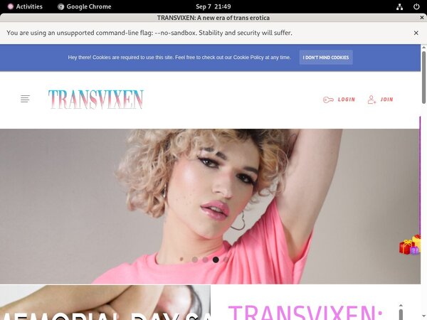 Transvixen.com Password Site
