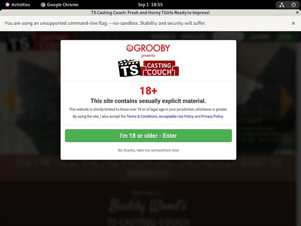 Ts-castingcouch.com Site Rip Url