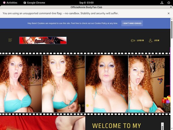 Using Paypal AnnieBody