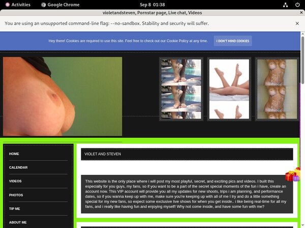 Violetandstevmodelcentro.com Verotel