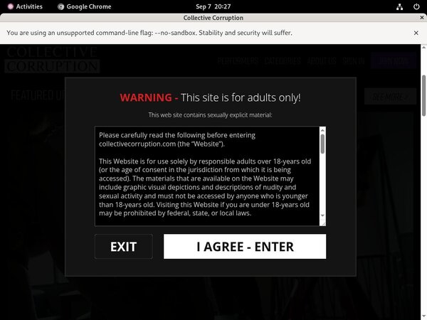 Working Collectivecorruption.com Pass