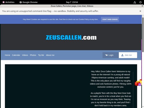 Zeuscallmodelcentro.com Password Hack