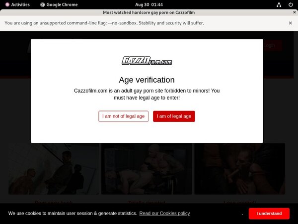 Cazzo Account Logins