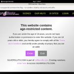 Get Silversluts Trial