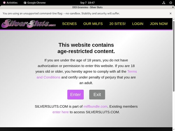 Get Silversluts Trial
