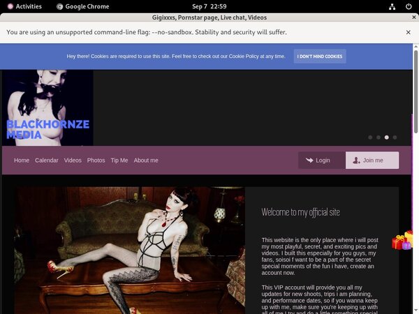 Gigixxxs.modelcentro.com Free Id