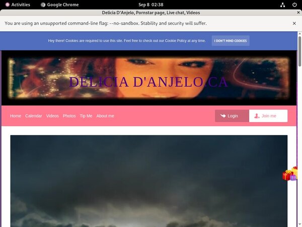 Delicia D'Anjelo Hack Login