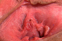 Gape My Pussy Xxx Video s5