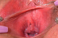 Gape My Pussy Subscriptions s0