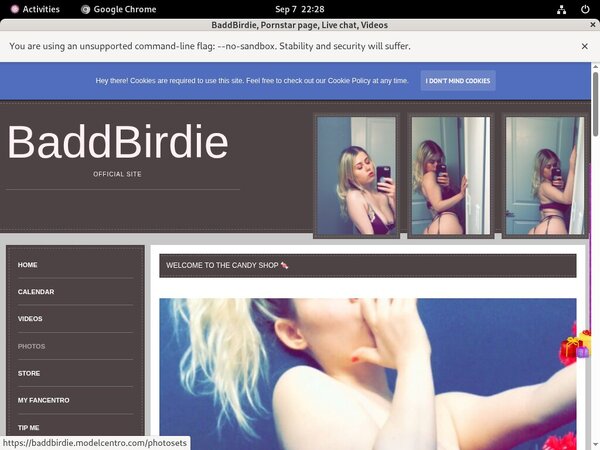 Baddbirdie.modelcentro.com Hacked Password