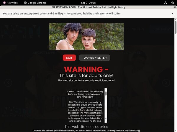 Nastytwinks Discount Codes